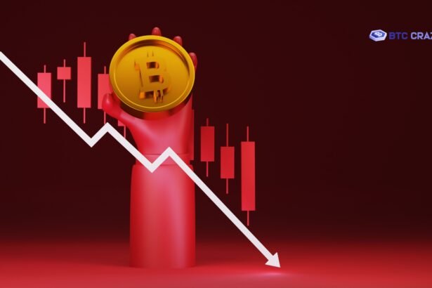 Bitcoin Price Down Today