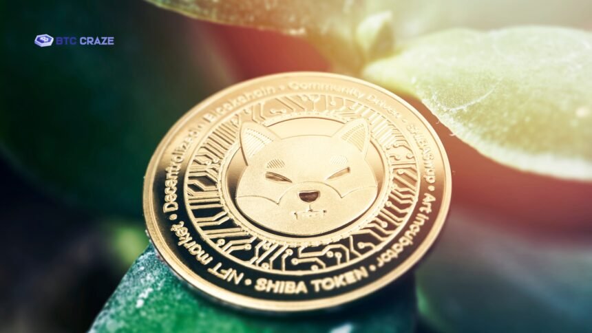 Shiba Inu Coin Price Prediction