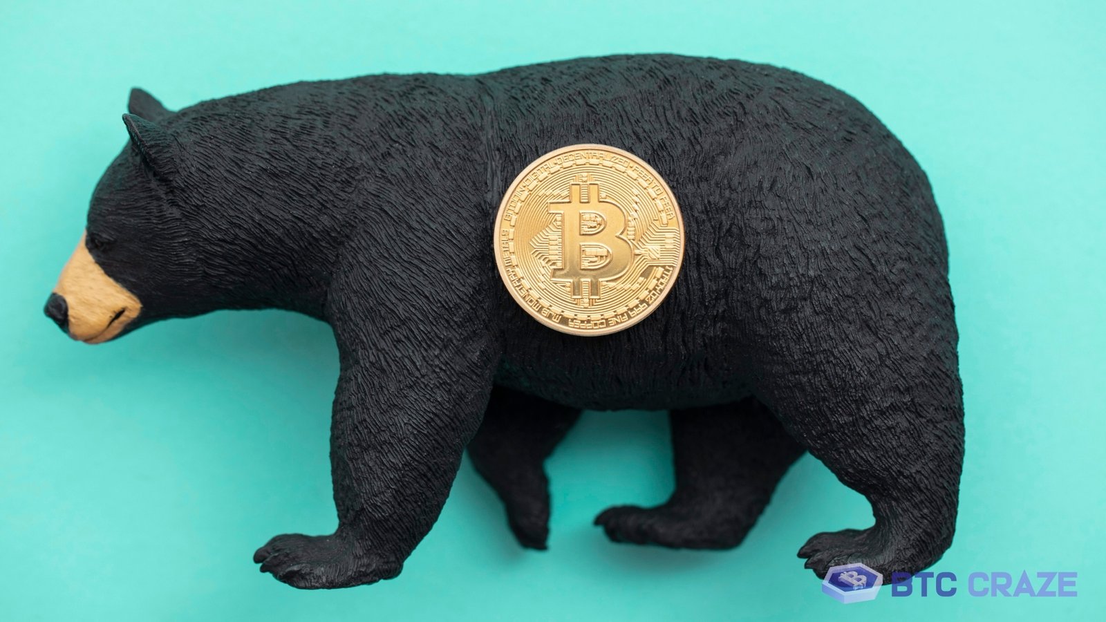 Bitcoin Bears Remain Strong