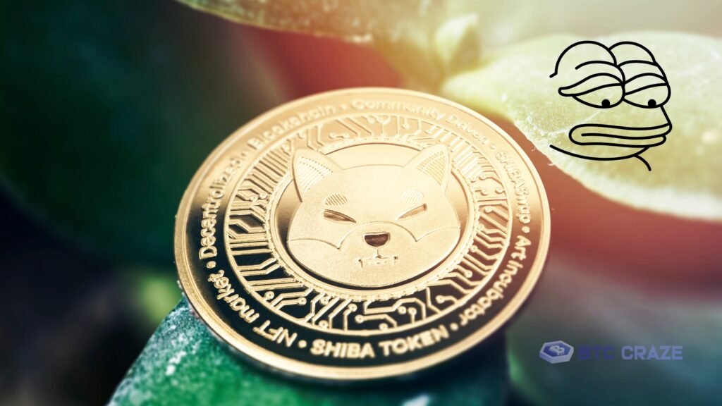Pepe, a New Red-Hot Meme Coin Debate Shiba Inu