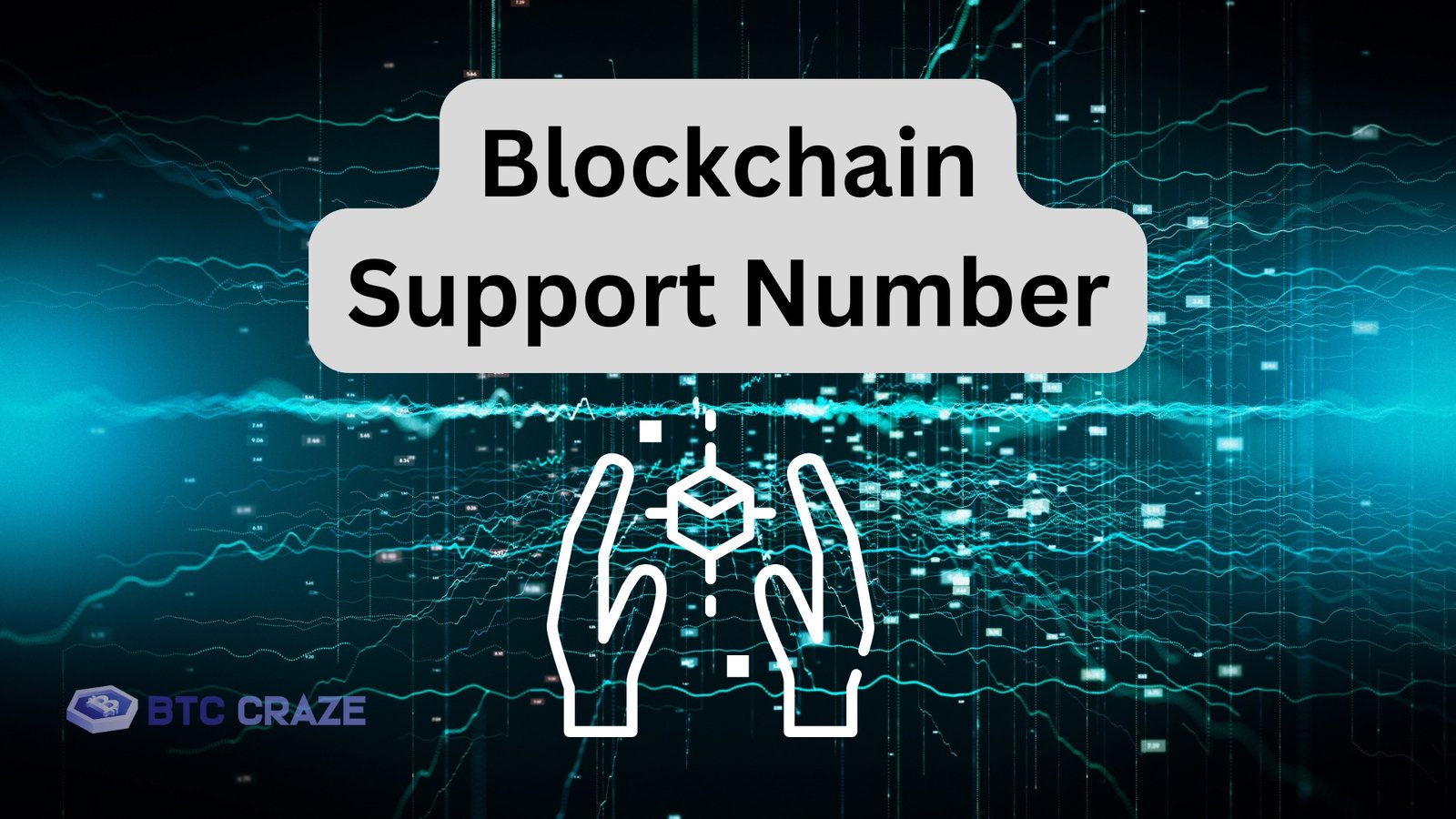 Blockchain Support Number