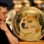 Elon Musk Doge Coin