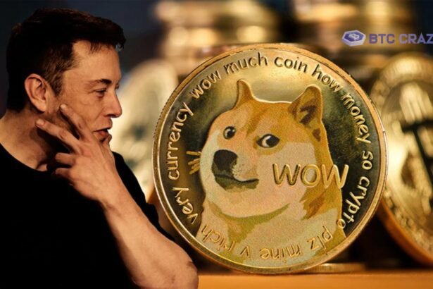 Elon Musk Doge Coin