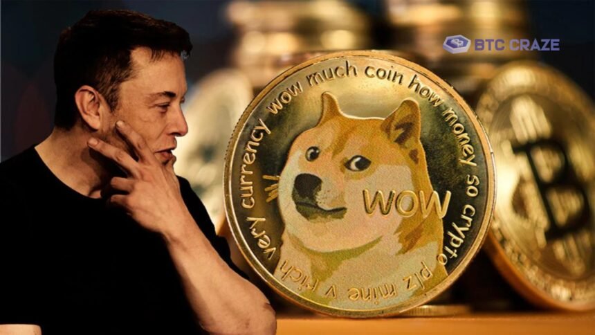 Elon Musk Doge Coin