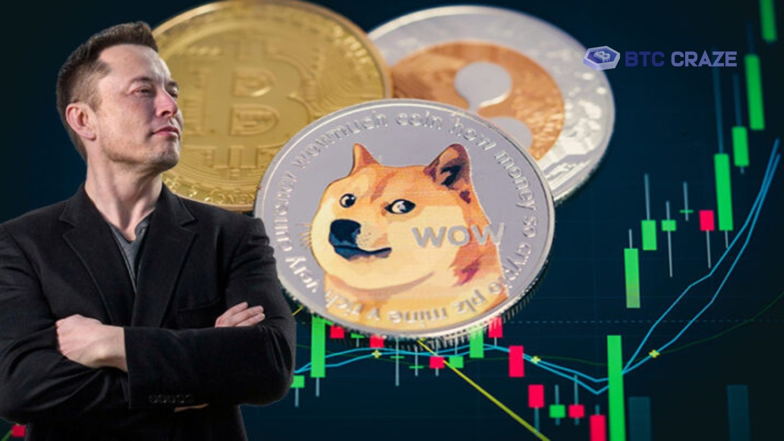 Elon Musk and the Future of Dogecoin