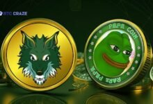 Pepe Coin Crypto