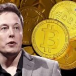 Elon Musk Crypto Coin