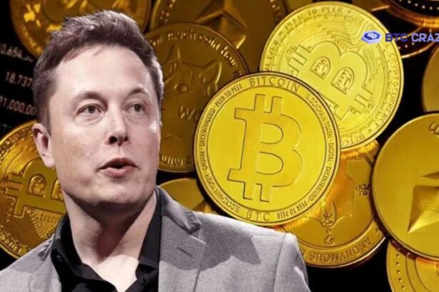 Elon Musk Crypto Coin