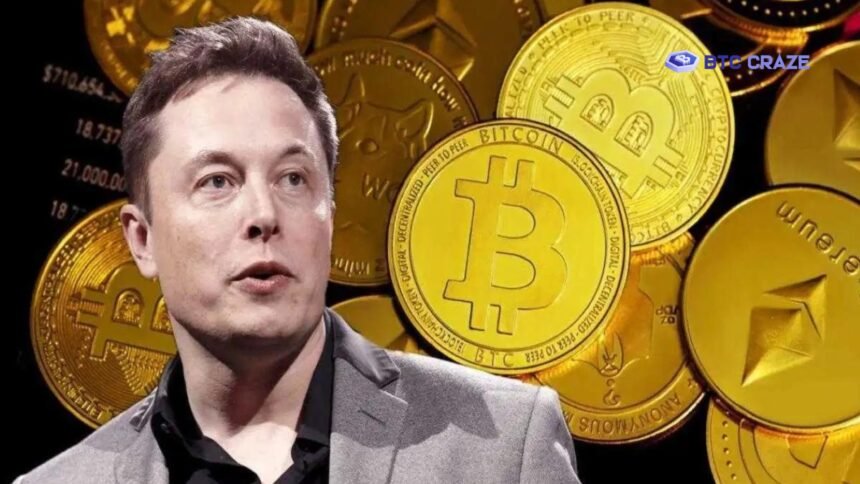 Elon Musk Crypto Coin