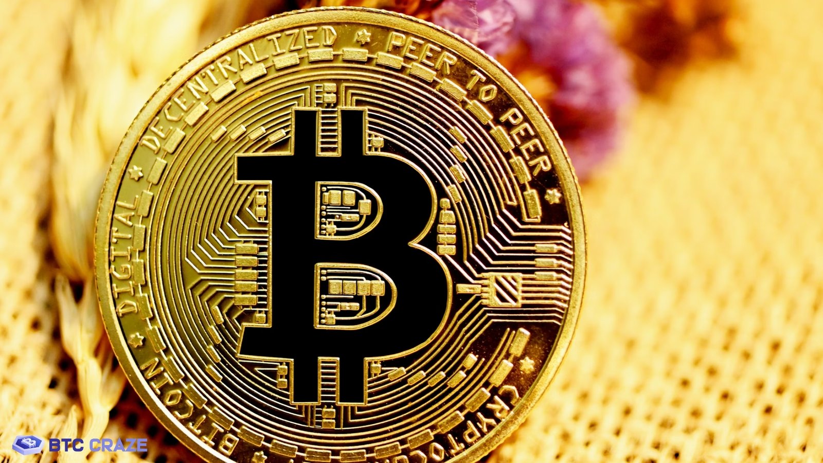 Bitcoin as Digital Gold