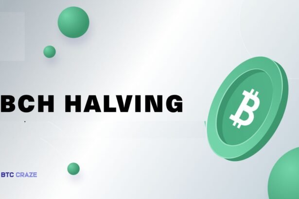 Bitcoin Cash Halving History: An In-Depth Analysis