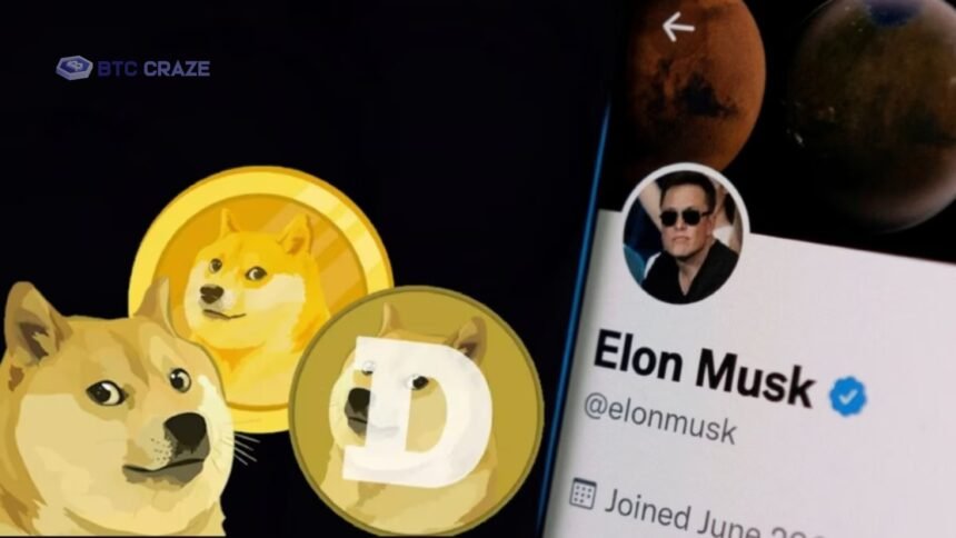 Elon Musk DOGE Challenges