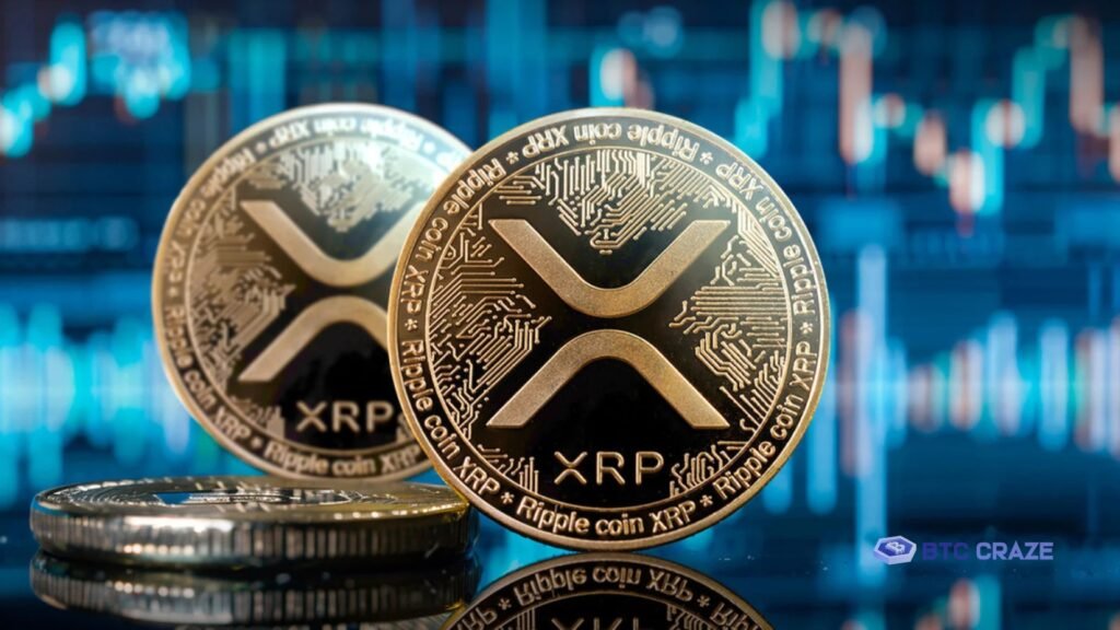 Today XRP rises