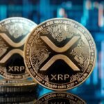 Today XRP rises