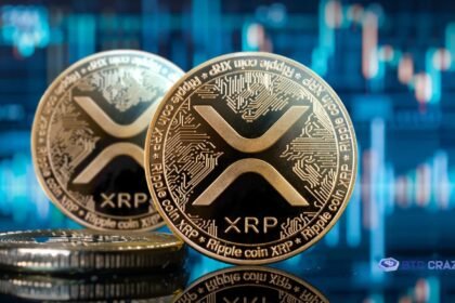 Today XRP rises