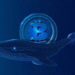 A massive Bitcoin whale