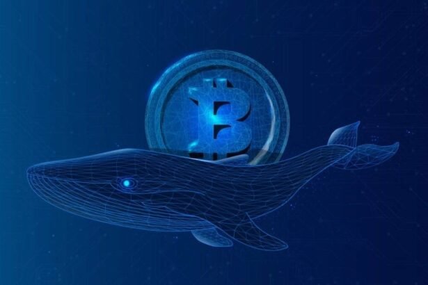 A massive Bitcoin whale