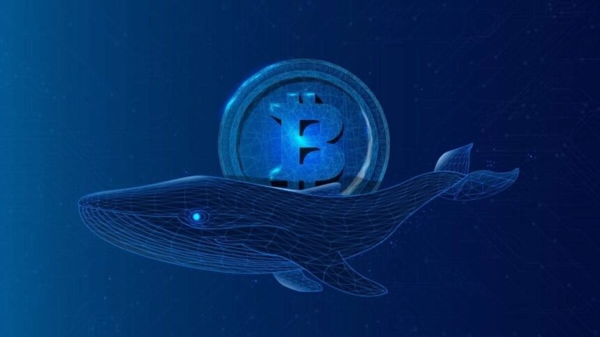 A massive Bitcoin whale