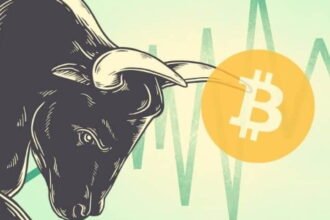 Bitcoin's Bull Market