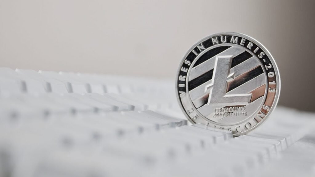 Litecoin Challenges