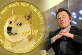 Musk and Dogecoin