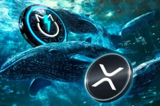 $XRP Attains With 3 Week Whale Accumulation $2.49