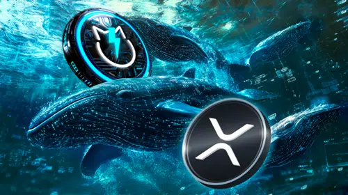 $XRP Attains With 3 Week Whale Accumulation $2.49