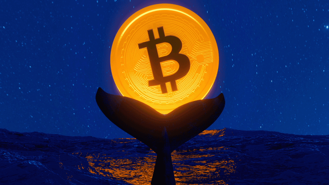 Bitcoin ETFs Surge in Success