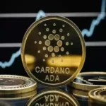 Cardano's Plomin Fork A New Era in Governance