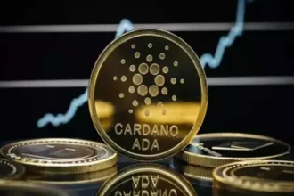 Cardano's Plomin Fork A New Era in Governance