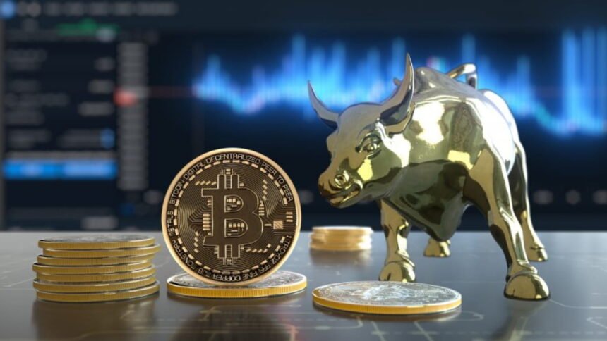 Bitcoin Price Analysis Bulls