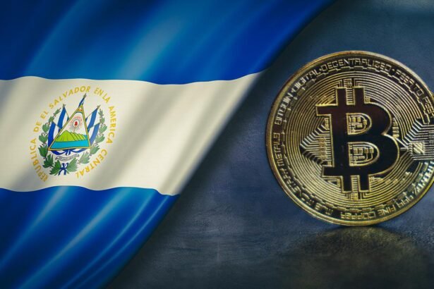 El Salvador's Bitcoin