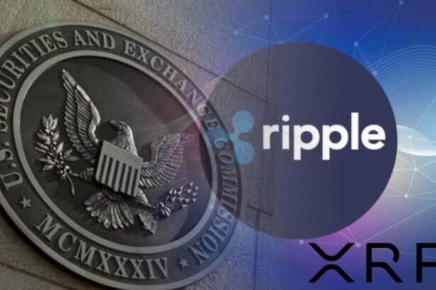 Ripple News