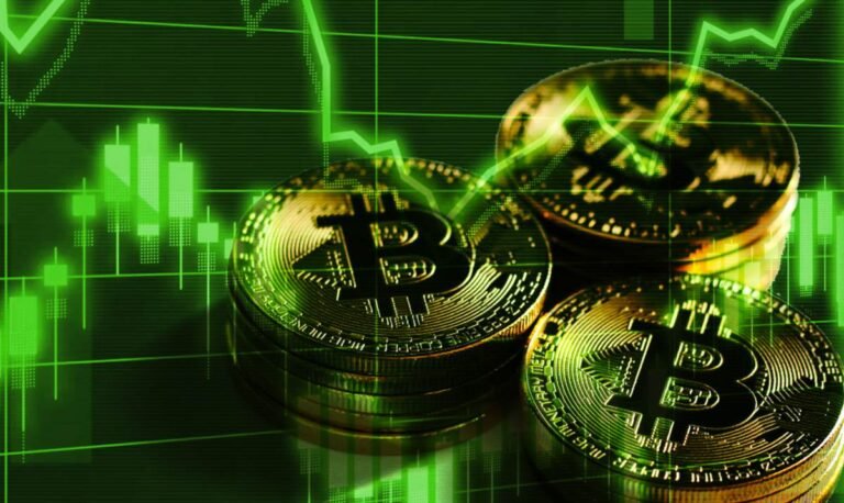 Bitcoin Inflation Hedge Analysis
