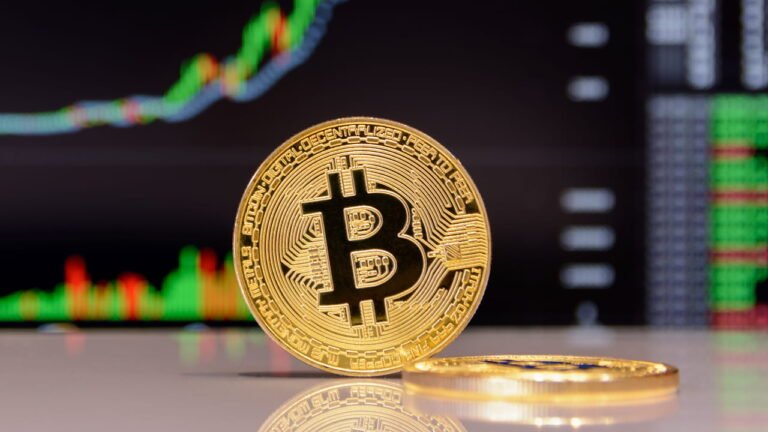 Bitcoin IRA Investment Options