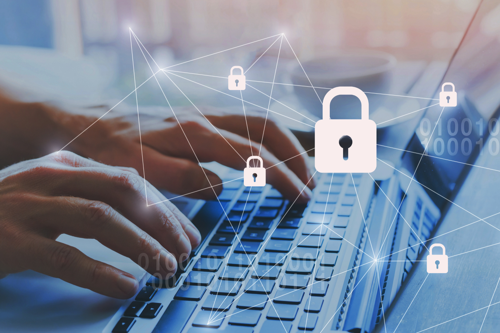Essential Security Features Every Beginner Should Look For