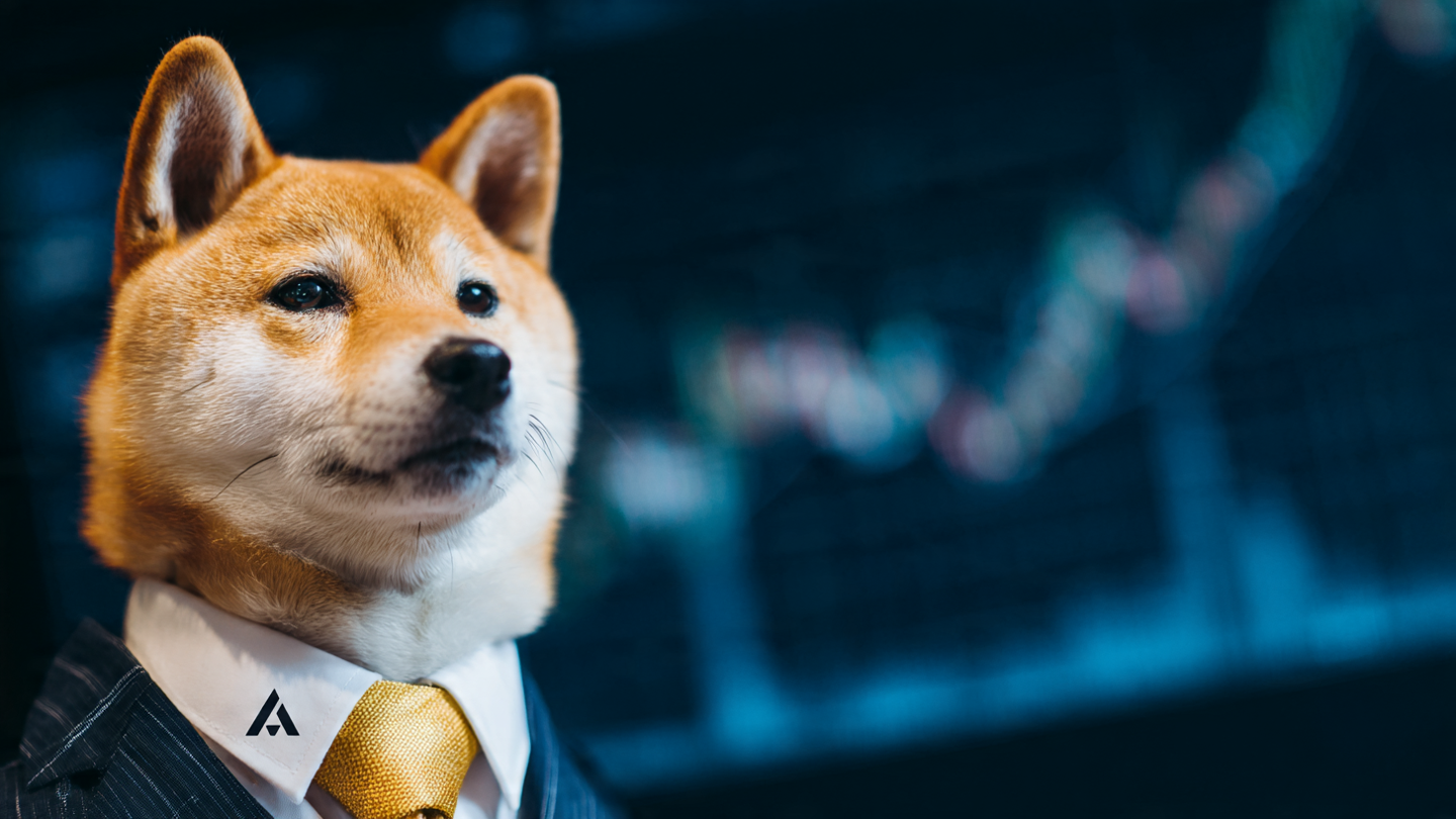 Aster Inu Security Features and Audit Results
