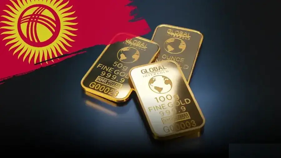 Market Reception and Global Impact of USDKG