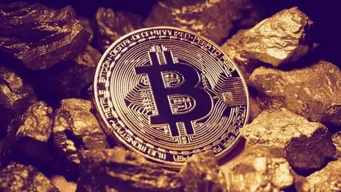 Bitcoin as Digital Gold and Store of Value