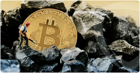 Mining and Network Security The Backbone of Bitcoin