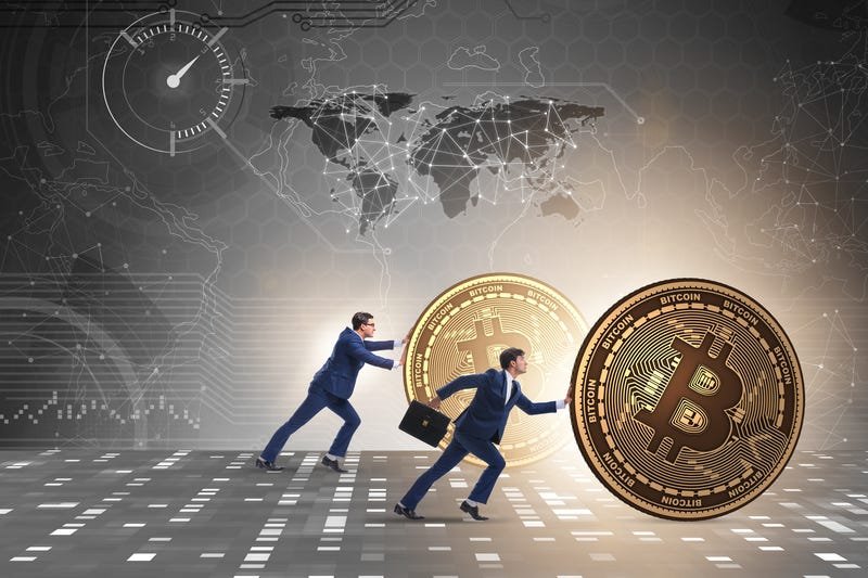 Risk Factors and Challenges Facing Alternative Cryptocurrencies