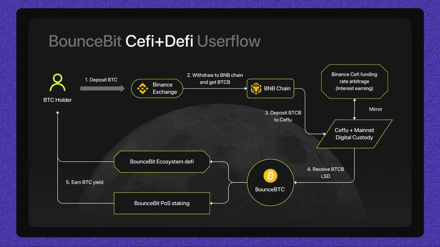The Core Components of the DeFi Ecosystem